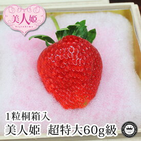 いちご 美人姫 びじんひめ 岐阜県羽島市産 超特大サイズ 1粒 桐箱入り (1粒60g前後) 送料無料 | 内祝い 誕生日プレゼント 還暦祝い プレゼント 喜寿 祝い 米寿 80代 お祝い 傘寿 還暦 古希 卒寿 長寿祝い ギフト 出産内祝い いちご 合格祝い フルーツ お返し