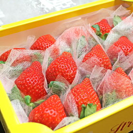 フルーツ いちご 美人姫 びじんひめ 岐阜県羽島市産 15粒 化粧箱入り 送料無料 | 内祝い 誕生日プレゼント お祝い 合格祝い 出産内祝い 長寿祝い ギフト お返し 高級 イチゴ 苺 お年賀 高級フルーツ 大粒 贈答用 退職祝い お歳暮