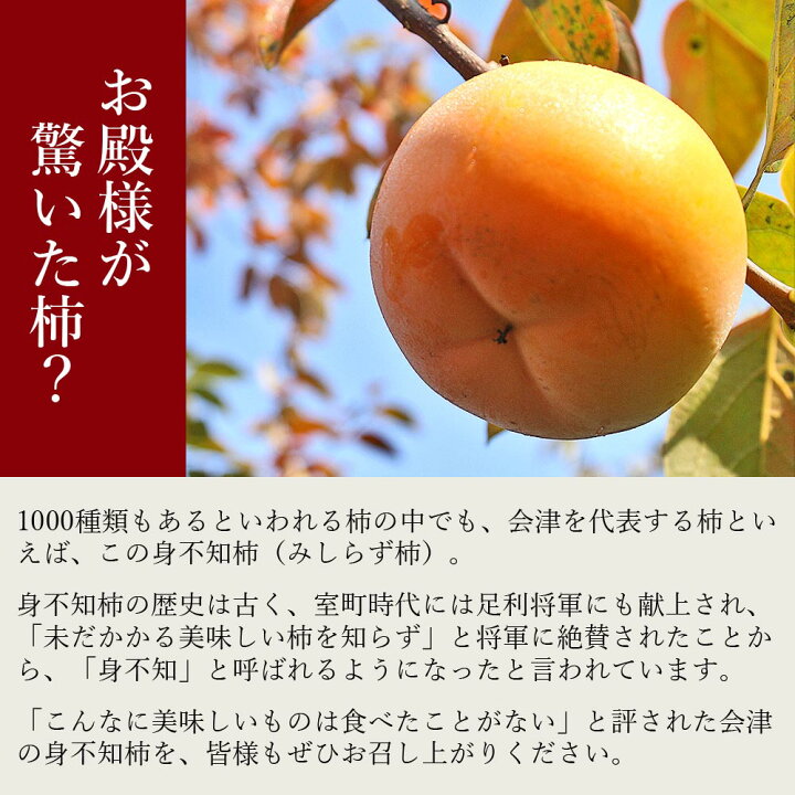 お歳暮 ギフト フルーツ 会津 みしらず柿 吉美人 きちびじん 5lサイズ 8玉 詰め合わせ 高級身不知柿 福島県会津産 木箱入り 御歳暮 贈答 贈り物 柿 果物 食品 Sb 15 日本ロイヤルガストロ倶楽部 通販 Yahoo ショッピング
