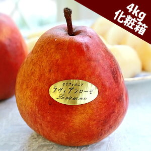 m JtHjA BA [[ 4kg(8`12ʓ) 쌧z{Y 쌧Y mȂ QL ϔ |  Ȃ m Mtg miV av[g ʕ t[c Ď 