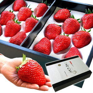 t[c Mtg 䕔i  ͂ ꌧFsY ߍ]Y gق  嗱 16  | j a v[g җj  j Ď 80 j P җ Ê 