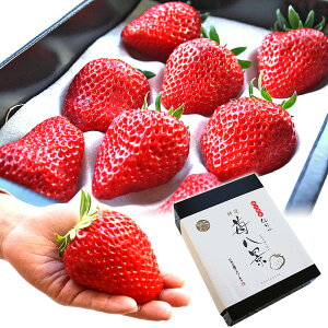 t[c Mtg 䕔i  ͂ ꌧFsY ߍ]Y gق  嗱 8  | j a v[g җj  j Ď 80 j P җ Ê 