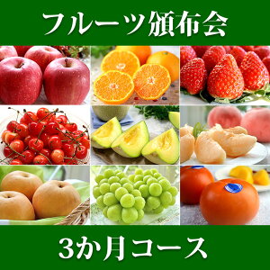 t[cЕz t[cMtg 3R[X  | Ԃ av[g v[g j j Mtg oYj   j t[c  ʕ   