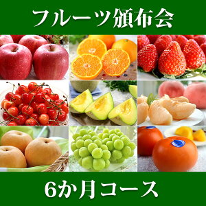 t[cЕz t[cMtg 6R[X  | Ԃ av[g v[g j j Mtg oYj   j t[c  ʕ   