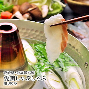 Ε O Mtg Q uh   Ԃ Zbg 6pbN lߍ킹 QY |    ^C j җj v[g Ď 88  P 80   ₵ 