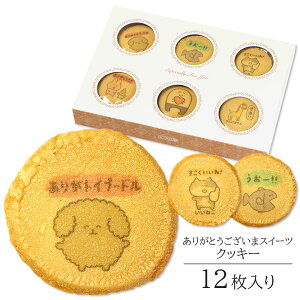 َq Mtg 肪Ƃ܃XC[c NbL[ 12  Z[  | 킢 XC[c lߍ킹 a v[g SNS f 낢 CXg  Aj} v`