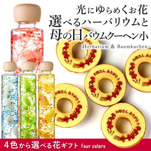 母の日 花 ケーキの人気商品 通販 価格比較 価格 Com