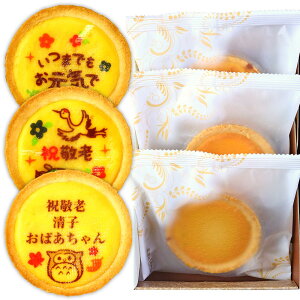 hV̓  `[Y^g 3Zbg ϔ | XC[c َq Mtg ĉَq ^g lߍ킹 hV  j j LOi c c 70 80 90 җ Ê  P Ď