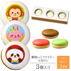 t@~[ }J 3  Z[ | 킢  XC[c Aj} َq lߍ킹 j j Ԃ  a v[g o[Xf[ 蕨 Mtg LOi 