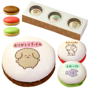 َq Mtg 肪Ƃ܃XC[c }J 3  | 킢 َq XC[c lߍ킹 a v[g 낢 _W W[N  CXg  Aj