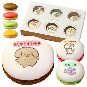 َq Mtg 肪Ƃ܃XC[c }J 6  | 킢 َq XC[c lߍ킹 a v[g 낢 _W W[N  CXg  Aj