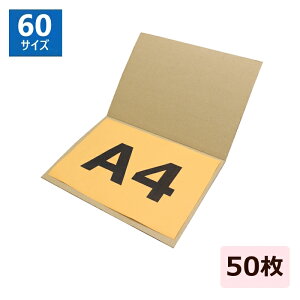 _{[ 60TCY A4 (314×230×3mm) 50 {_{[V[g A4TCY p2 2 i{[ NAt@C  a4   z _{[pbh  ޕۊ |X^[