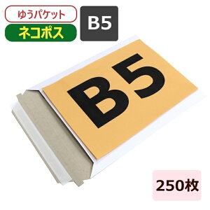[ Ή   B5 (225×290) 250 NbN|Xg 䂤pPbg  B5TCY `OX Ki ʔ̗p p   `O ^  e[vt Wbp[t