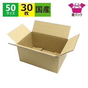 �_���{�[���� �i�{�[�� B6 50�T�C�Y (212×139×109) 30�� ���^�_���{�[�� �n�K�L�T�C�Y ��z�� ���{�� 60�T�C�Y �_���{�[�� �i�{�[���� ���� ����� ����� ��z60�T�C�Y �� ����p �ʔ̗p �t���}