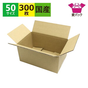 �_���{�[���� �i�{�[�� B6 50�T�C�Y (212×139×109) 300�� ���^�_���{�[�� �n�K�L�T�C�Y ��z�� ���{�� 60�T�C�Y �_���{�[�� �i�{�[���� ���� ����� ����� ��z60�T�C�Y �� ����p �ʔ̗p �t���}