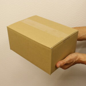 ダンボール箱60サイズB5対応(無地×20枚)【あす楽日本製段ボール梱包用通販用小物用宅配発送用ネットショップオークションフリマアプリ引越し引っ越し収納薄型素材無地ケース】