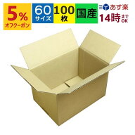 あす楽 ダンボール箱 段ボール 60サイズ (245×170×165) (無地×100枚) 送料無料 日本製 ダンボール 段…