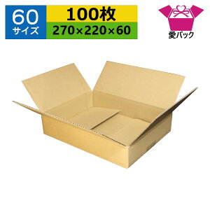 ダンボール箱 段ボール 60サイズ オーダーメイド (270×220×60) (無地×100枚) 送料無料 あす楽 日本製 ダンボール 段ボール箱 梱包用 通販用 小物用 宅配 発送用 ネットショップ オークション フ