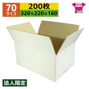 _{[ i{[ 70(80TCY) A4Ή  (320×220×160) (n×200) Ap @l  { _{[ i{[ p ʔ̗p p lbgVbv I[NV t}