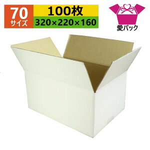 _{[ i{[ 70(80TCY) A4Ή  (320×220×160) (n×100) Ap  { _{[ i{[ p ʔ̗p p lbgVbv I[NV t}Av 