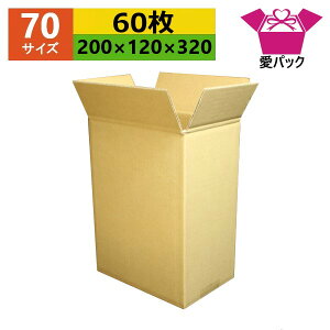 ダンボール箱 段ボール 70(80)サイズ オーダーメイド (200×120×320) (無地×60枚) 縦型 日本製 梱包用 通販用 小物用 引越し 引っ越し 収納 薄型素材 無地ケース