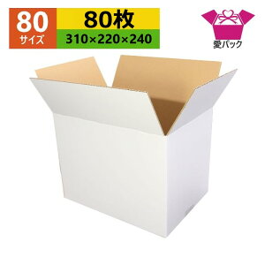 _{[ 80TCY A4Ή  (310×220×240) (n×80)  { _{[ i{[ i{[  p ʔ̗p p lbgVbv I[NV t}Av p 