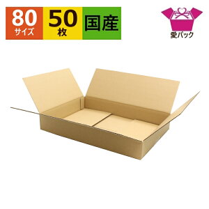 _{[ ^ 80TCY A3 (426×305×62) 50  { _{[ i{[ i{[ A3TCY A3p    z80  p 䂤pbN lbgVbv I[NV