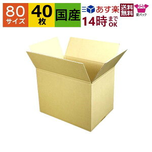 y _{[ 80TCY A4Ή (310×220×240) (n×40) { _{[ i{[ i{[ p ʔ̗p p lbgVbv I[NV t}Av p z z 