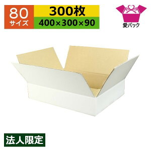 _{[ 80TCY  (400×300×90) (n×300) Ap @l  { _{[ i{[ i{[ p ʔ̗p p lbgVbv I[NV t}Av 