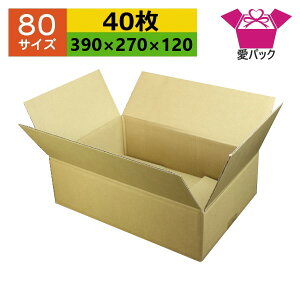 _{[ 80TCY (390×270×120) (n×40) Ap y { _{[ i{[ i{[ p ʔ̗p p lbgVbv I[NV t}Av p z z