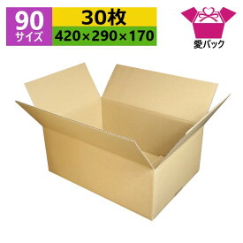 ダンボール箱 段ボール 90(100)サイズ (420×290×170) (無地×30枚) ゆうパック90 アパレル あす楽 日本製 ダンボール 段ボール箱 梱包用 通販用 小物用 ネットショップ オークション フリマアプリ 発送用 宅配 引越し 引っ越し 収納 薄型素材 無地ケース