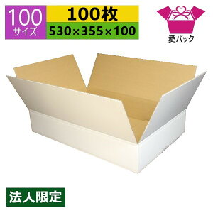 _{[ i{[ 100TCY  (530×355×100) (n×100) Ap @l cގ { _{[ i{[ p ʔ̗p p lbgVbv I[NV t}Av