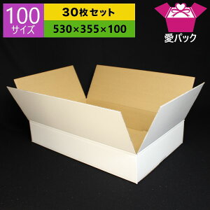 ダンボール 段ボール箱 100サイズの人気商品 通販 価格比較 価格 Com