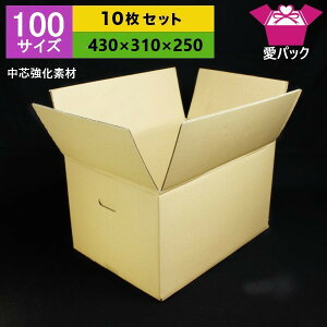 100サイズ強化ダンボール箱10枚セット段ボール箱/引越し用【あす楽対応】