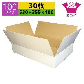 ダンボール箱 段ボール 100サイズ 白 (530×355×100) (無地×30枚) アパレル 中芯強化材質 日本製 ダンボール 段ボール箱 梱包用 通販用 小物用 ネットショップ オークション フリマアプリ 発送用 宅配 引越し 引っ越し 収納 無地ケース ホワイト