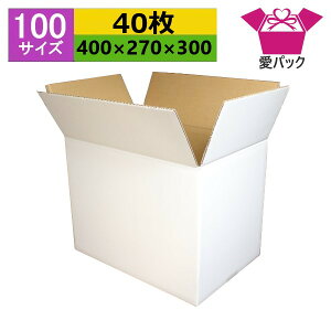 _{[ i{[ 100TCY  (400×270×300) (n×40) Ap { _{[ i{[ p ʔ̗p p lbgVbv I[NV t}Av p z z 