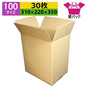 _{[ 90(100)TCY A4Ή (310×220×350) (n×30) c^ { i{[ p ʔ̗p p lbgVbv I[NV t}Av p z z z [ nP