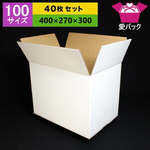 100サイズ通販/アパレル中芯強化材質40枚