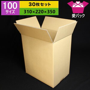 90(100)サイズダンボール箱無地A430枚
