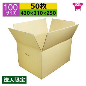 _{[ i{[ 100TCY A3Ή (430×310×250) (n×50) @l  z { _{[ i{[ t p ʔ̗p p lbgVbv I[NV t