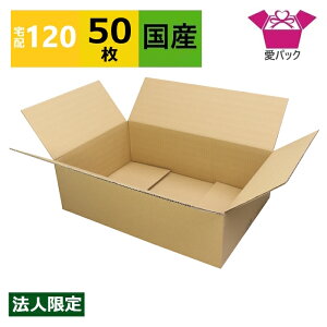 ダンボール箱 段ボール 120サイズ 着物用 (550×365×166) (無地×50枚) 法人限定 中芯強化材質 宅配箱 日本製 着物 120 ダンボール 段ボール箱 着物用 宅配120 梱包用 梱包資材 梱包材 梱包 箱 宅配 フ