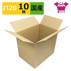 ダンボール箱 段ボール 120サイズ A3 (440×320×390) (無地×10枚) 中芯強化材質 送料無料 宅配120 宅配箱 日本製 120 ダンボール 段ボール箱 梱包 梱包用 梱包資材 梱包材 梱包 宅配 A3サイズ 引越し