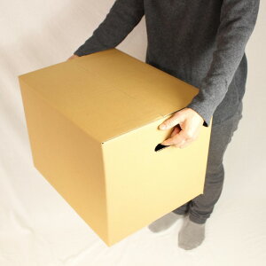 ダンボール箱120サイズ(無地×20枚)(450×350×330)中芯強化材質【送料無料あす楽日本製宅配用宅配箱段ボール持ち手付き梱包用通販用小物用ネットショップオークションフリマアプリ発送用宅配引越し引っ越し収納無地ケース】