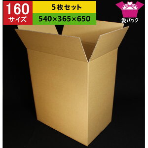 ダンボール箱多目的用Rケース5枚