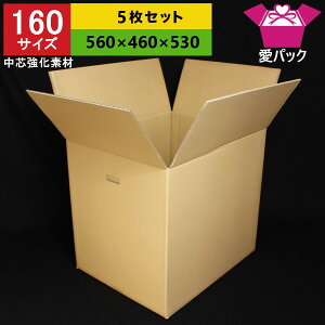 160サイズ強化ダンボール箱5枚セット段ボール箱/引越し用【あす楽対応】