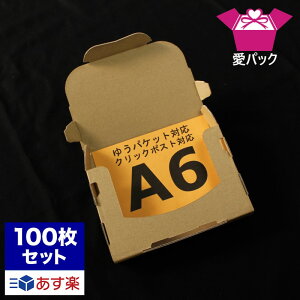 箱ゆうパケット対応段ボール(160mm×110mm×28mm)100枚【メール便日本製ダンボール段ボール梱包用通販用小物用ネットショップオークションフリマアプリ発送用宅配書類収納薄型素材無地ケース宅急便コンパクト】