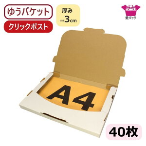 䂤pPbg Ή  NbN|Xg (330×230×28) 3cm A4 40  3cm A4TCY { 60TCY _{[ i{[ [ `O X J 30mm i{[  p ʔ̗p 