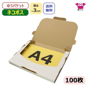 lR|X  3cm A4  (308×220×28) 100 lR|X 䂤pPbg  NbN|Xg { 60TCY _{[ i{[ A4TCY 3cm 30mm _{[ [  t}Av 