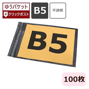 zrj[ B5TCY (280×200) 100 z Ȃ e[vt B5 z NbN|Xg 䂤pPbg r[ `OX Ki J p hrj[  p 