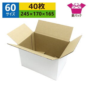 _{[ i{[ 60TCY  (245×170×165) (n×40) { _{[ i{[ p ʔ̗p p z p lbgVbv I[NV t}Av z z 